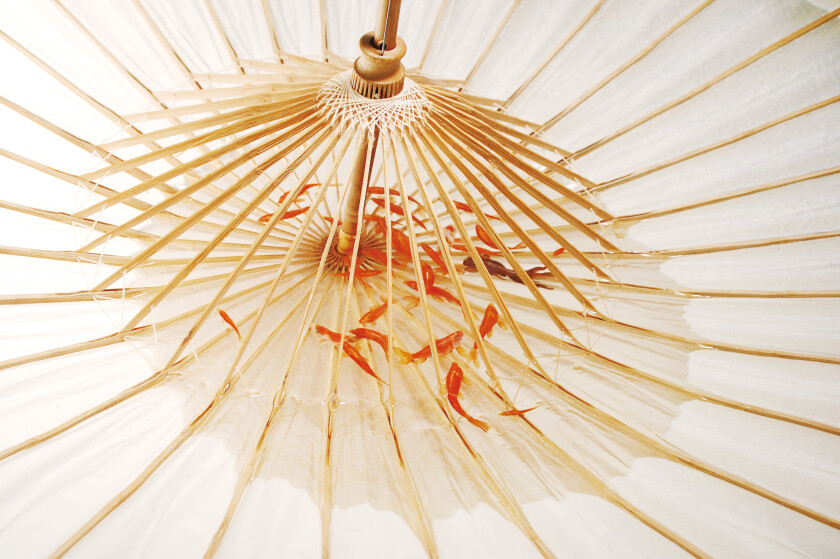 深堀隆介展「金魚鉢、地球鉢。」｜プレスリリース・広報用ダウンロード